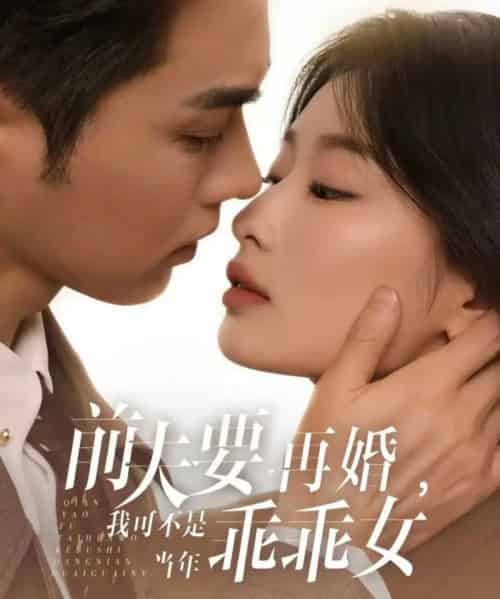 前夫要再婚，我可不是当年乖乖女（62集全）王彦鑫＆韩佳卉-搜外项目网