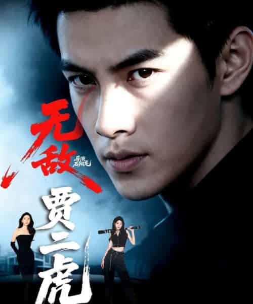 无敌贾二虎＆贾二虎的妖孽人生 （80集） 冯熙尧＆卢晓敏＆沈英-搜外项目网