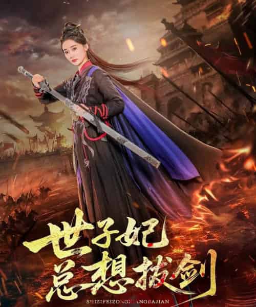 世子妃总想拔剑（57集）周彦哲＆姜悦-搜外项目网