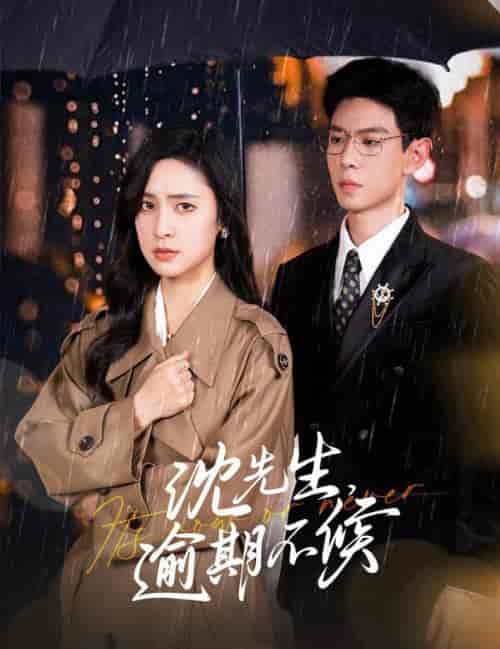 沈先生逾期不候（75集全）宋彧佳＆黄浩雯-搜外项目网