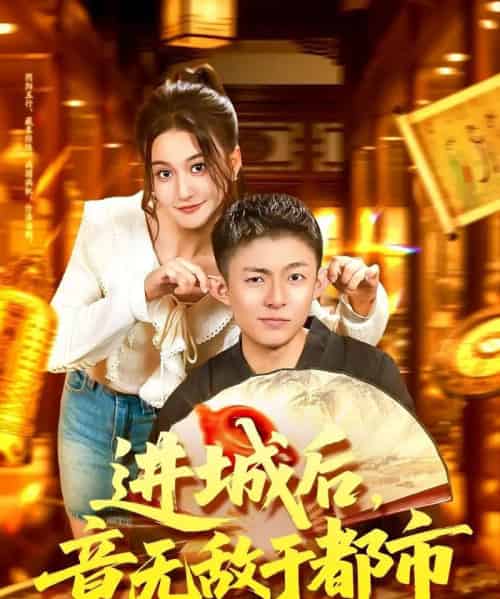 进城后，竟无敌于都市（100集全）李秉润＆屈婉琼-搜外项目网