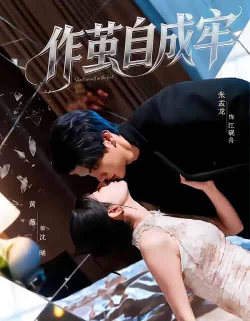 作茧自成牢(52集全)梦龙&黄薇-搜外项目网