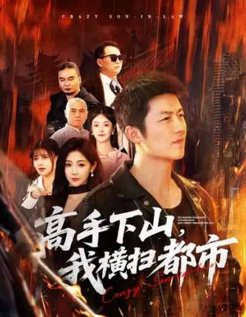 高手下山，我横扫都市（69集全）张层层＆尹喜善-搜外项目网