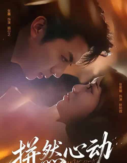 拼然心动（56集全）张磊＆张紫璇-搜外项目网