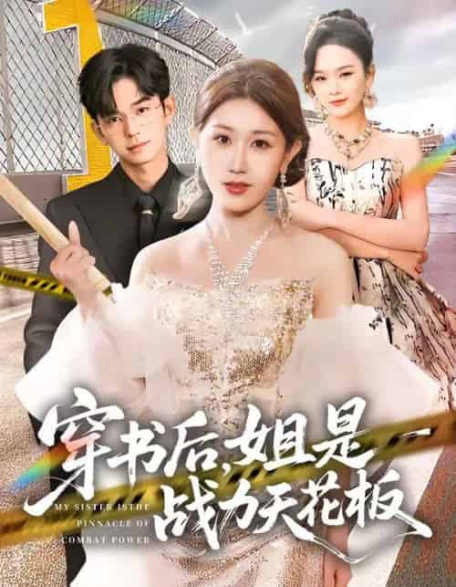 穿书后,姐是战力天花板(63集全)赵美琦&徐佳伟-搜外项目网