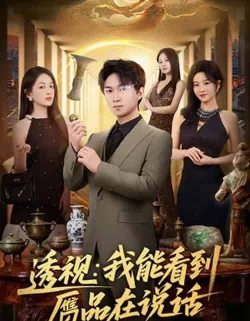 透视：我能看到赝品在说话（82集全）文梓琳＆高厚德-搜外项目网