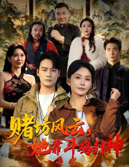 赌坊风云,她靠斗鸡封神(60集全)娄宇瑶&白宗炎-搜外项目网