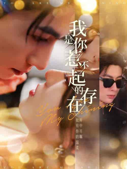 我是你惹不起的存在（101集全）王子林＆郑晨雨-搜外项目网