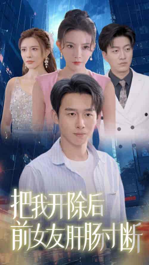 把我开除后前女友肝肠寸断（80集全）严浩-搜外项目网