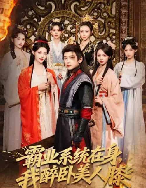 霸业系统在身，我醉卧美人膝（83集全）张嘉印＆董洁＆刘雪莹-搜外项目网