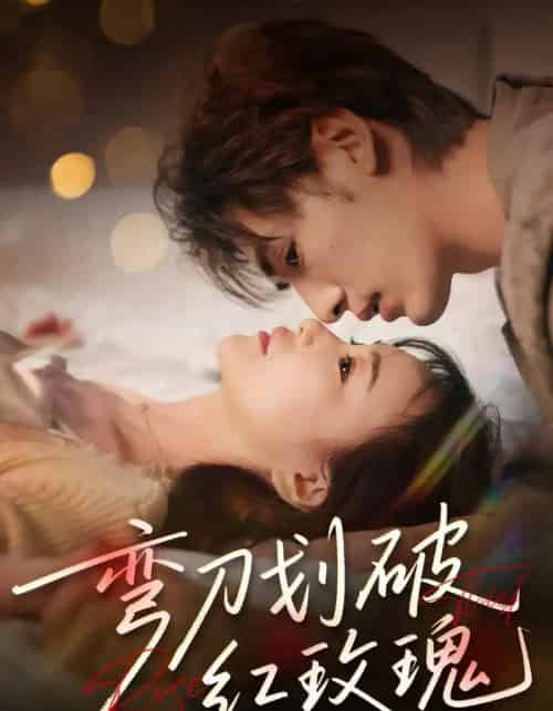弯刀划破红玫瑰(63集)文渊&赵菲&陈宥骁-搜外项目网