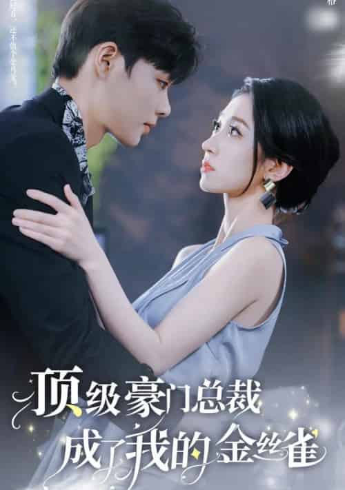 顶级豪门总裁成了我的金丝雀（85集全）王格格 5个吻-搜外项目网