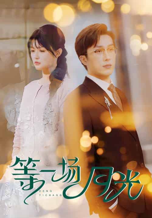 等一场月光（57集全）叶庭＆呆呆儿-搜外项目网