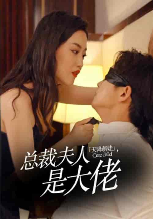 天降萌娃，总裁夫人是大佬（78集全）李晨伟＆叶玫-搜外项目网