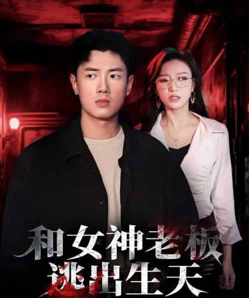 和女神老板逃出生天（50集全）蔡东昊＆魏琳儒-搜外项目网
