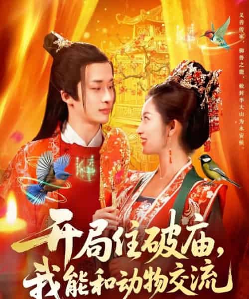 开局住破庙,我能和动物交流(95集全)王泊渊&崔馨心-搜外项目网