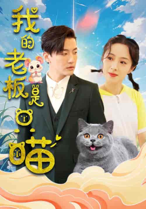 我的老板是只喵（86集全）呼晟之＆舒千千-搜外项目网