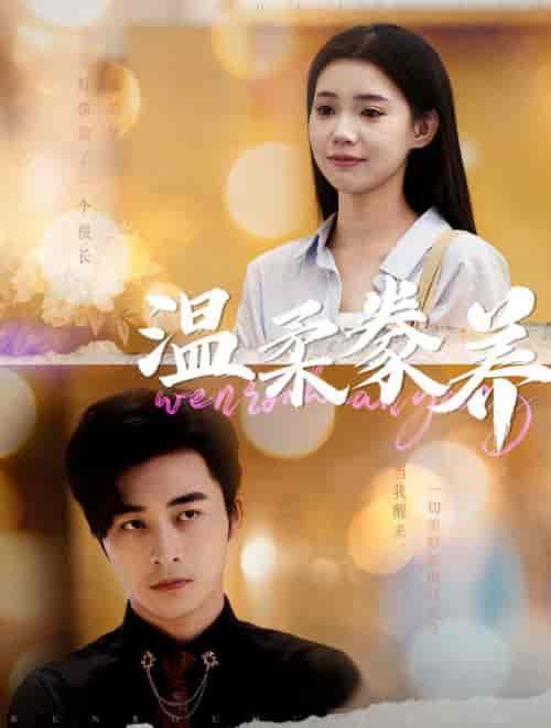 温柔豢养（100集全）常高明＆李丫丫-搜外项目网