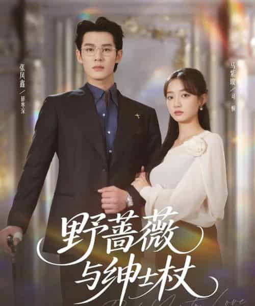 野蔷薇与绅士杖（78集全）张凤鑫＆马紫璇-搜外项目网