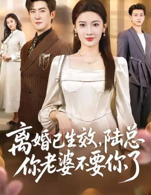 离婚已生效，陆总你老婆不要你了（61集全）赵阿东＆沈玥妡-搜外项目网