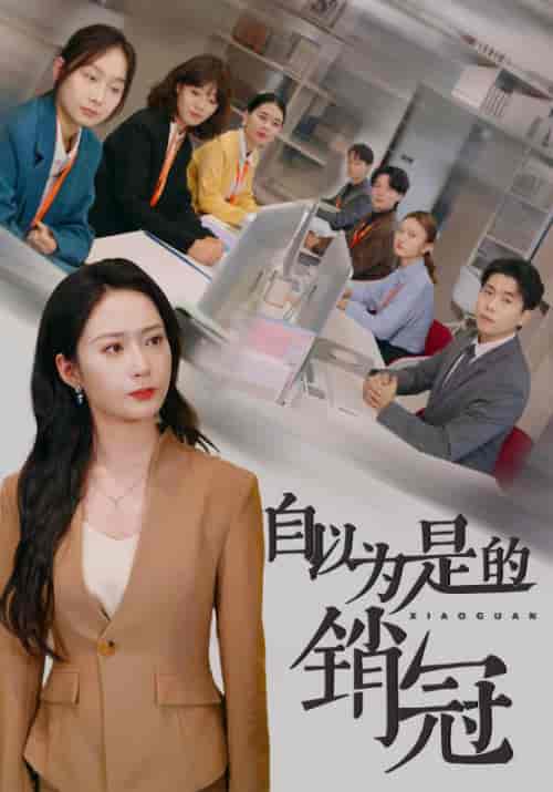 自以为是的销冠(54集全)谭超&陈小夏-搜外项目网