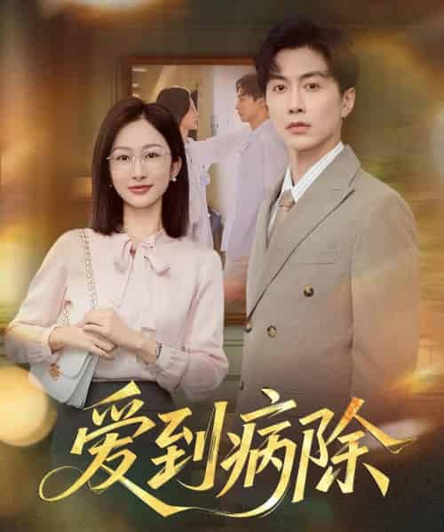 爱到病除（60集）迟宁宁＆刘承林-搜外项目网