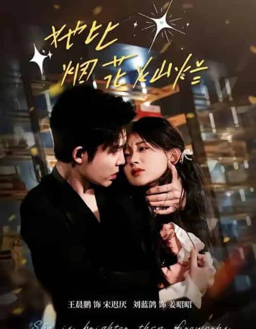 她比烟花灿烂（76集全）王晨鹏＆刘蓝鸽-搜外项目网