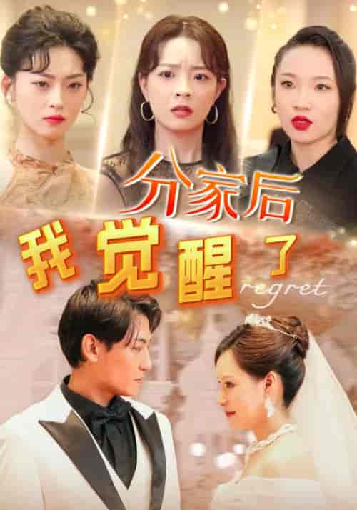 分家后，我觉醒了（63集全）萧凡＆苏玉颜-搜外项目网