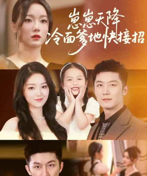 崽崽天降冷面爹地快接招（59集）张馨月-搜外项目网