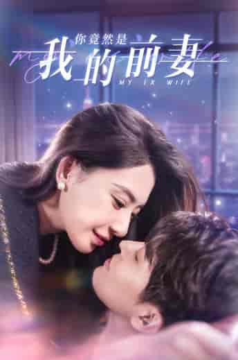 你竟然是我的前妻（100集）-搜外项目网