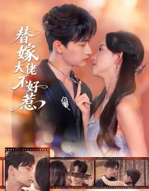 替嫁大佬不好惹（83集全）张婉悦＆毛祁生-搜外项目网