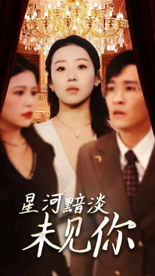 星河黯淡未见你（58集全）黄帅帅＆赵英男-搜外项目网