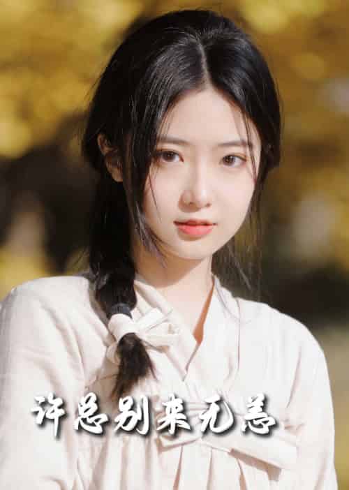 许总别来无恙（50集全）邢航铭-搜外项目网