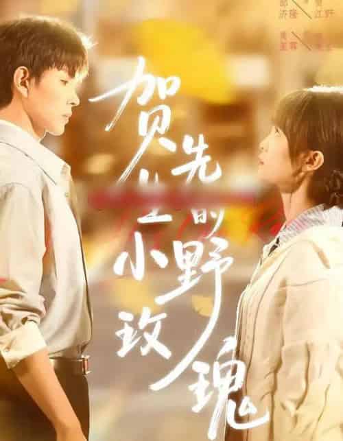 贺先生的小野玫瑰（99集全）黄玺霖＆邹济隆-搜外项目网