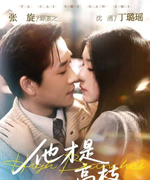 他才是高枝（77集全）张旋＆丁璐瑶-搜外项目网