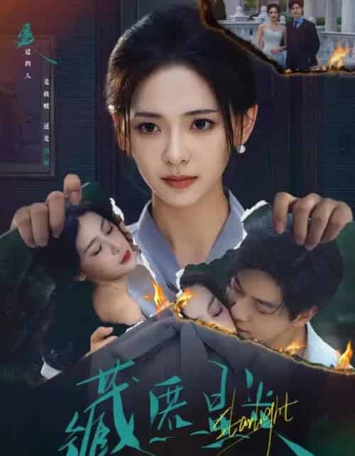 藏匿星光（70集）王子甲＆黄靖洲（孝太）-搜外项目网