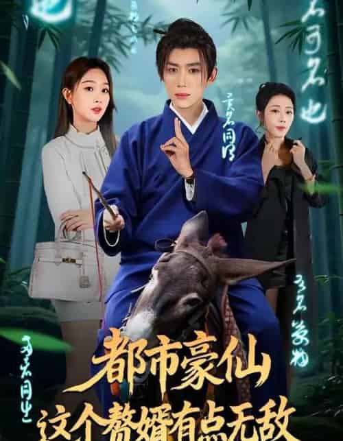 都市豪仙，这个赘婿有点无敌（84集全）刘檀嘉＆彭千玲-搜外项目网