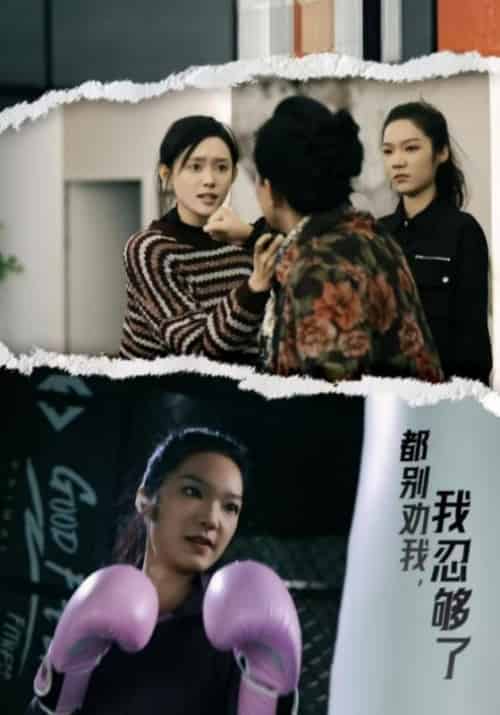 都别劝我,我忍够了(31集全)向世仁&安宁-搜外项目网