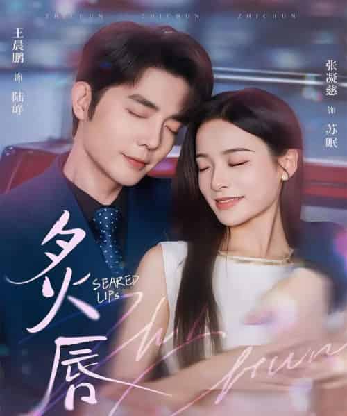 炙唇(68集全)王晨鹏&张凝慈-搜外项目网