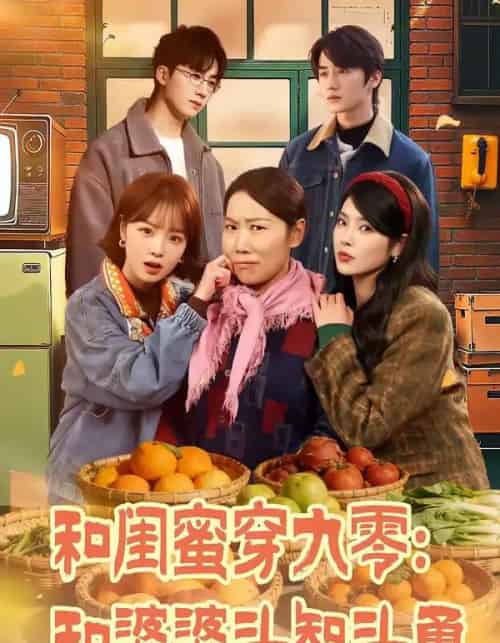 和闺蜜穿九零：和婆婆斗智斗勇（60集全）金倩＆王皓阳-搜外项目网