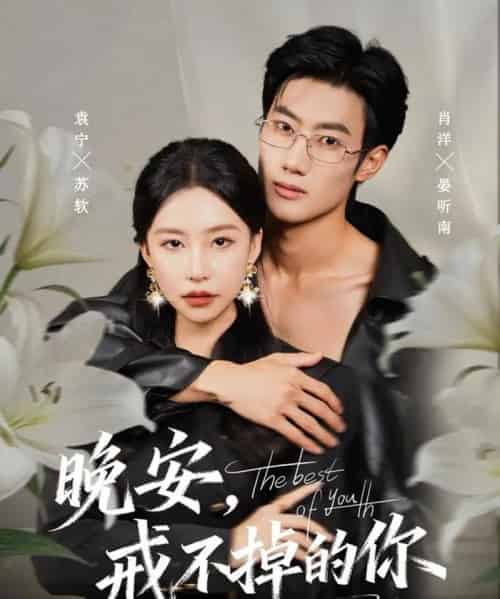 晚安，戒不掉的你（68集全）袁宁＆肖洋-搜外项目网