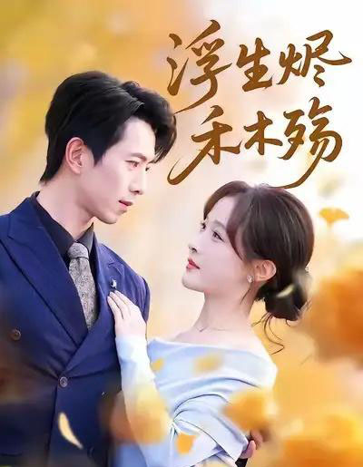 浮生烬禾木殇&雾漫青衫沾白露(70集全)白野&傅汉源-搜外项目网