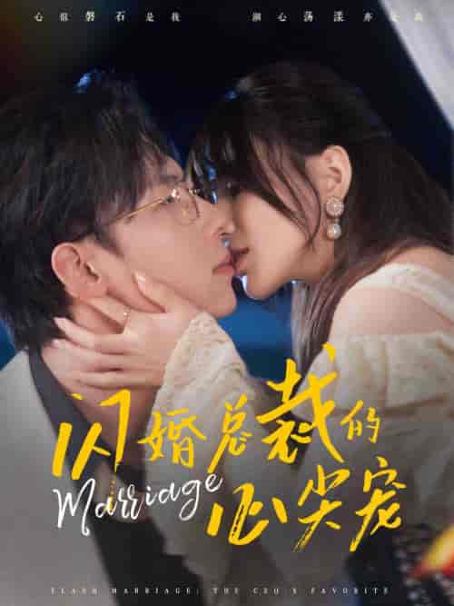 闪婚总裁的心尖宠（77集全）王钰臻＆夏婧苒-搜外项目网