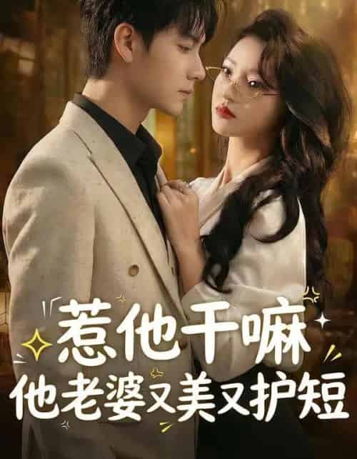 惹他干嘛他老婆又美又护短（30集全）罗潜宇＆郭菁妮-搜外项目网