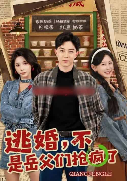 逃婚，不，是岳父们抢疯了（80集全）王艺鑫＆贺龙天-搜外项目网