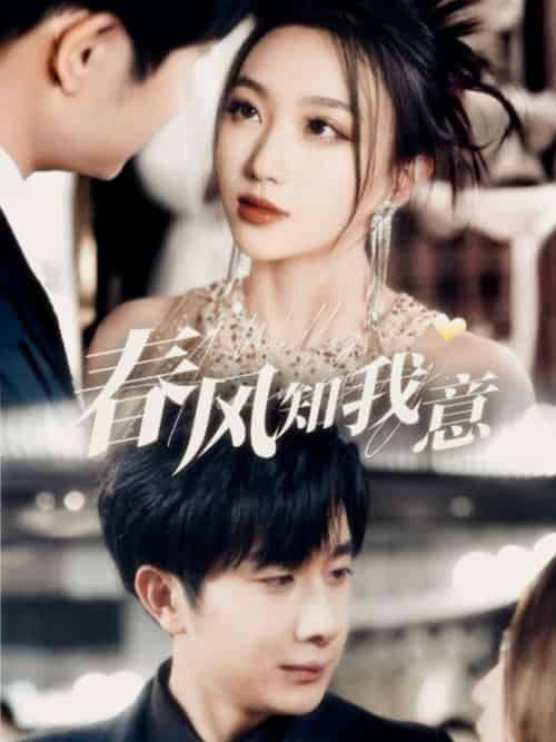 春风知我意（74集全）杨然＆程昕玥-搜外项目网
