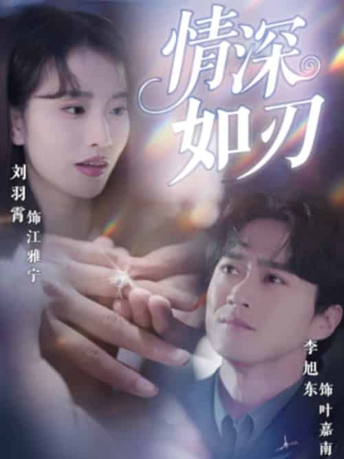 情深如刃（48集全）李旭东＆刘羽霄-搜外项目网