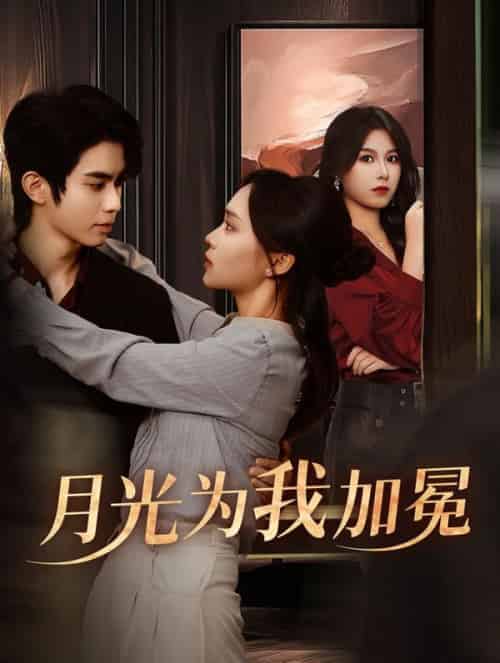 月光为我加冕（30集全）彭慧玲-搜外项目网