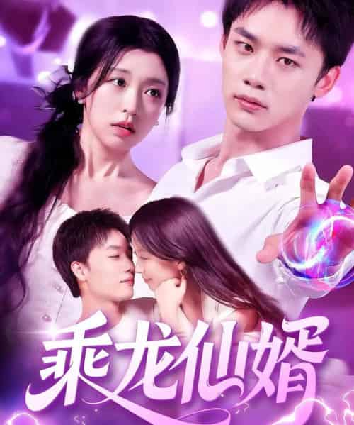 乘龙仙婿（92集）程勇炜＆唐之斐-搜外项目网