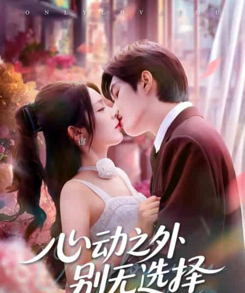 心动之外别无选择(64集全)余弦&郝韵-搜外项目网